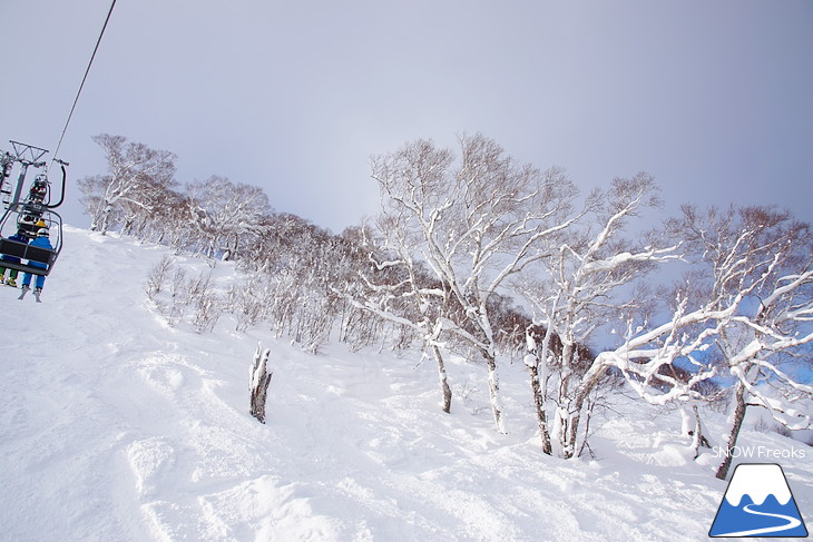 ニセコマウンテンリゾート グラン・ヒラフ　粉雪と千歳ワイナリーの美味しいワインに酔う♪